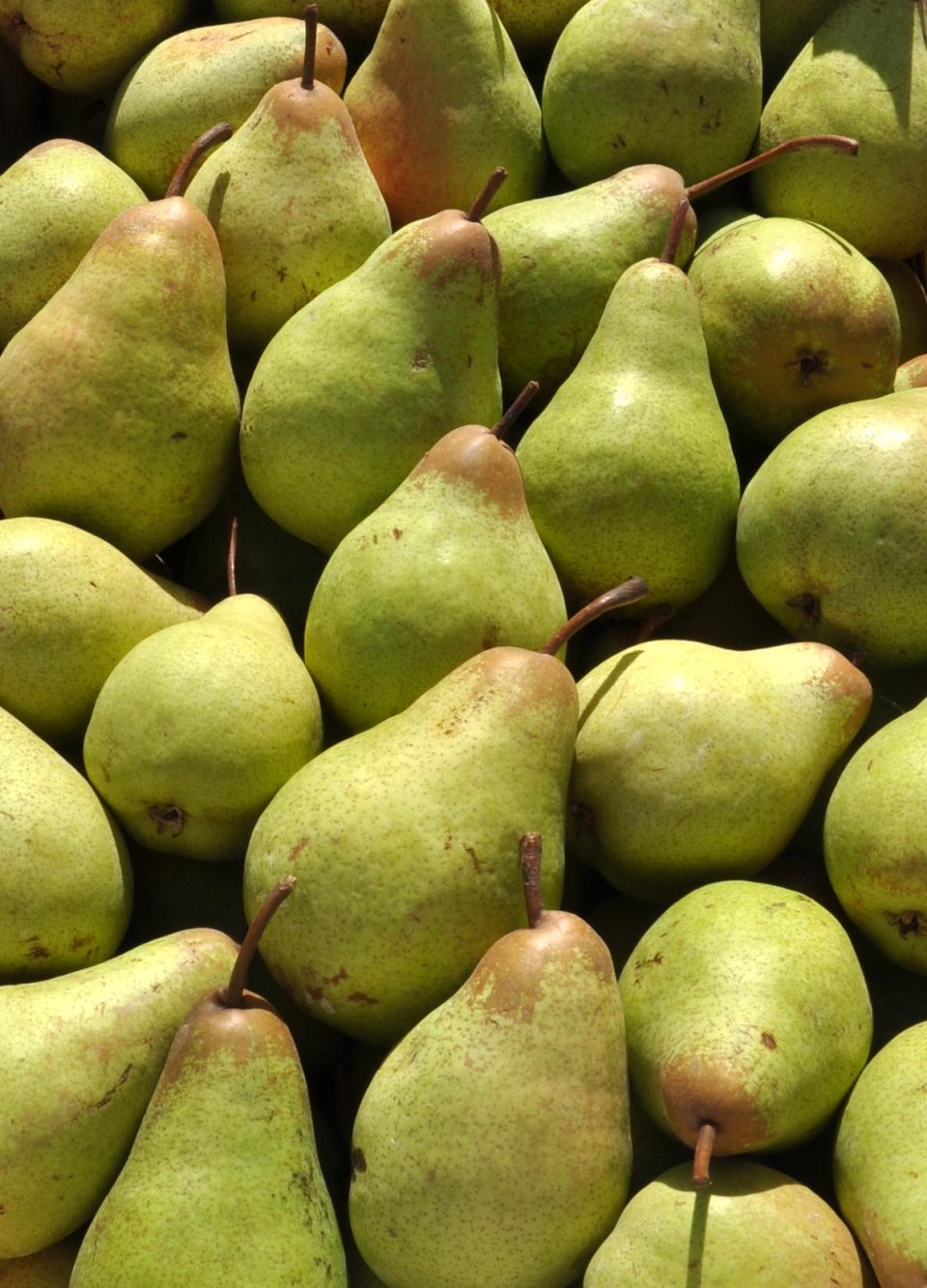 The best Portuguese pears | Salt of Portugal