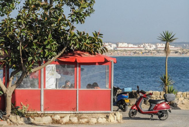 BardoQuebradoPenicheF