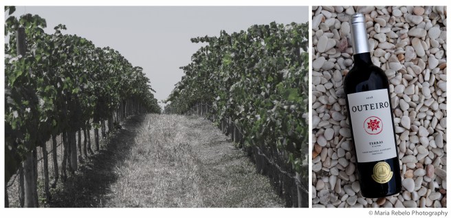 Terras D'Alter composit @