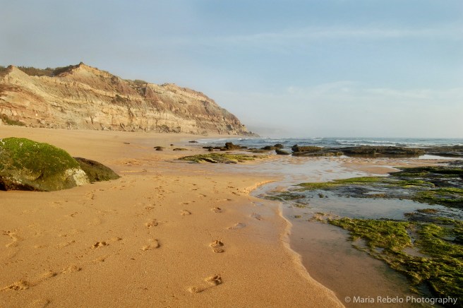 A Walk on the Beach - @mariarebelophotography.com