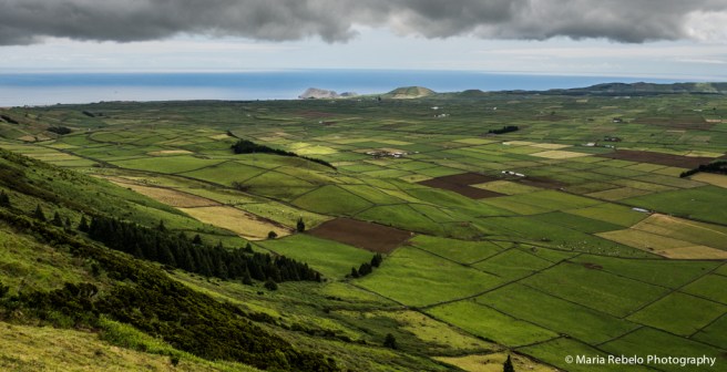 Açores 47 - croped