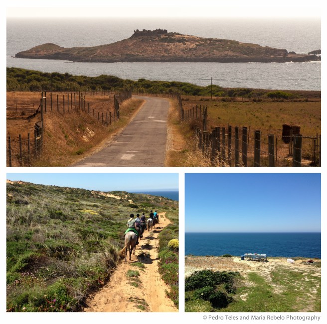 Composit do Pessegueiro-3