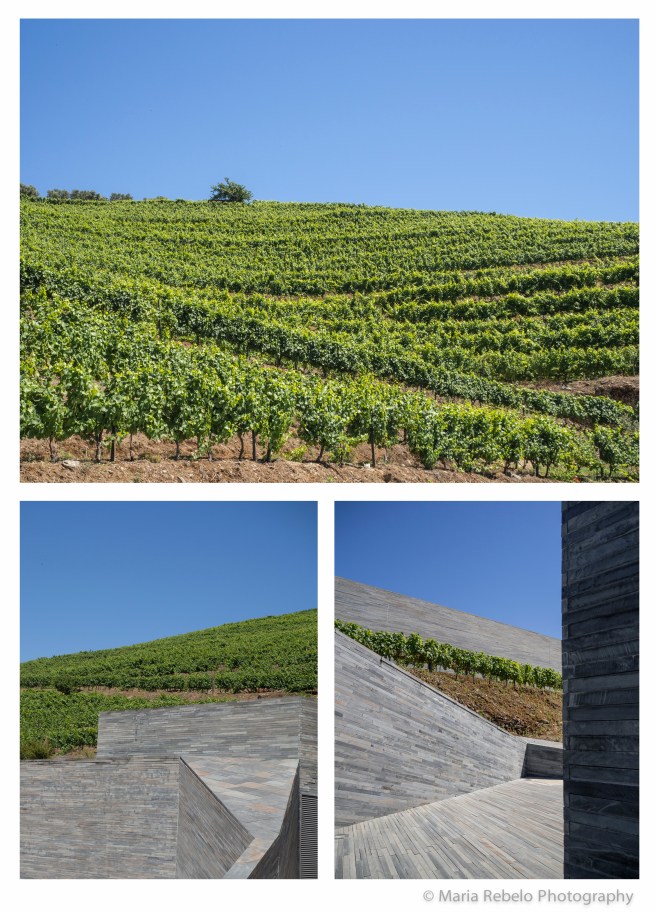 Quinta do Valado Composit