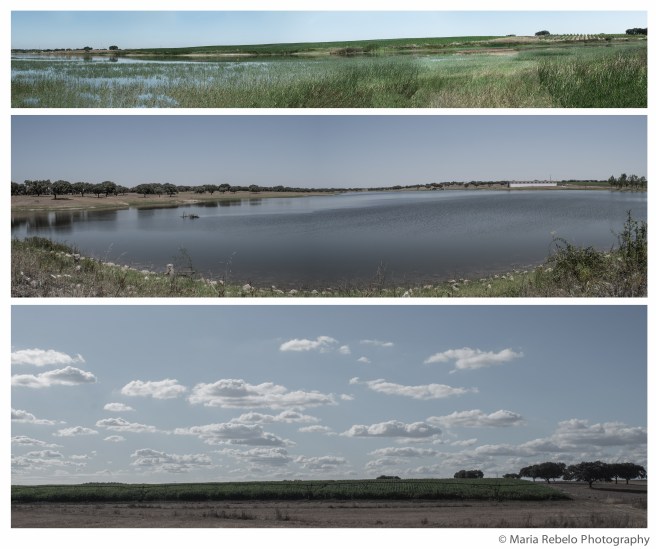 Monte Barrão Composit