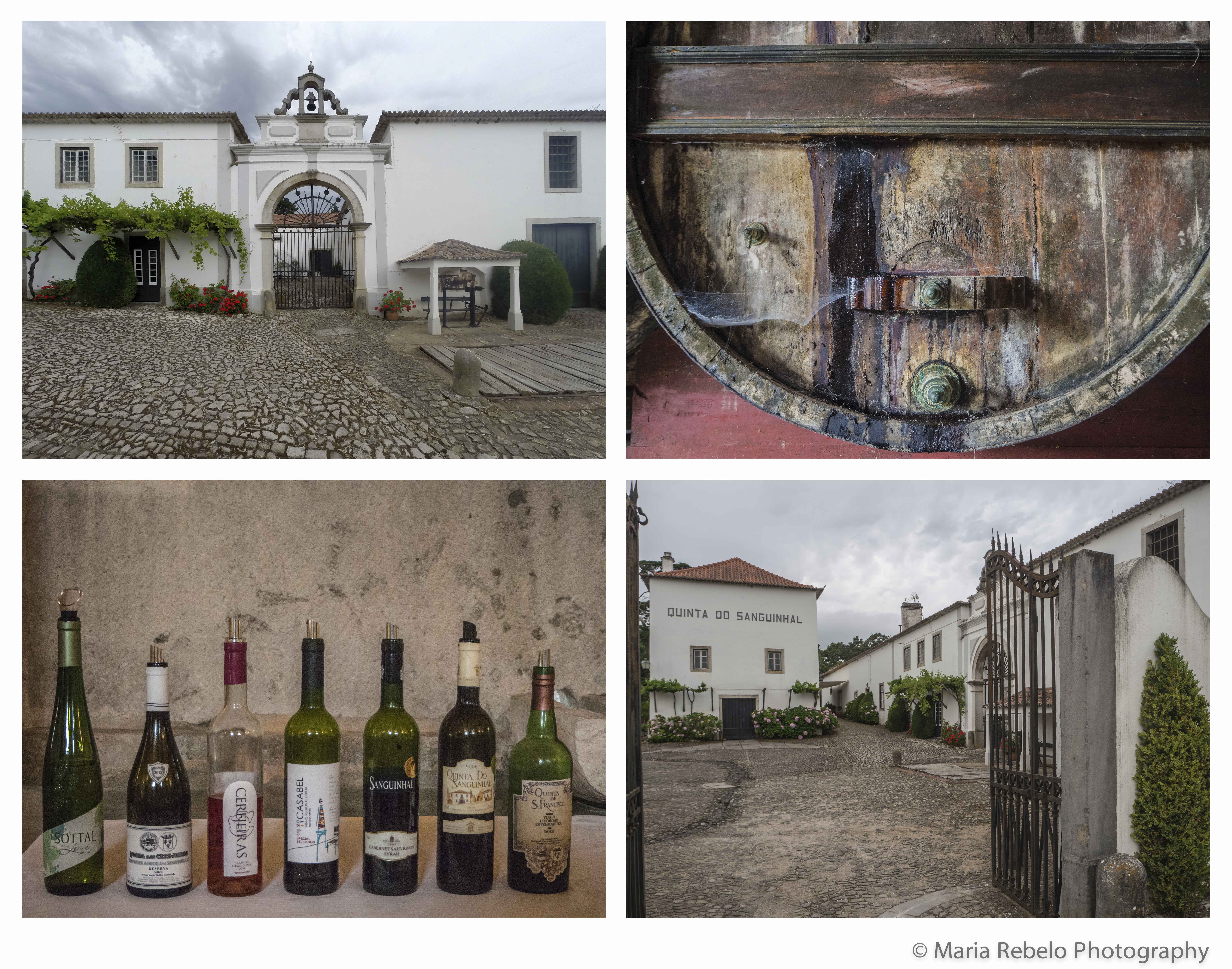 composit-quinta-do-sanguinhal
