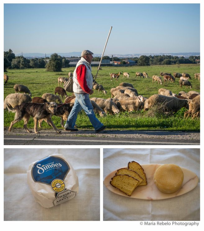 composit-queijo-azeitao