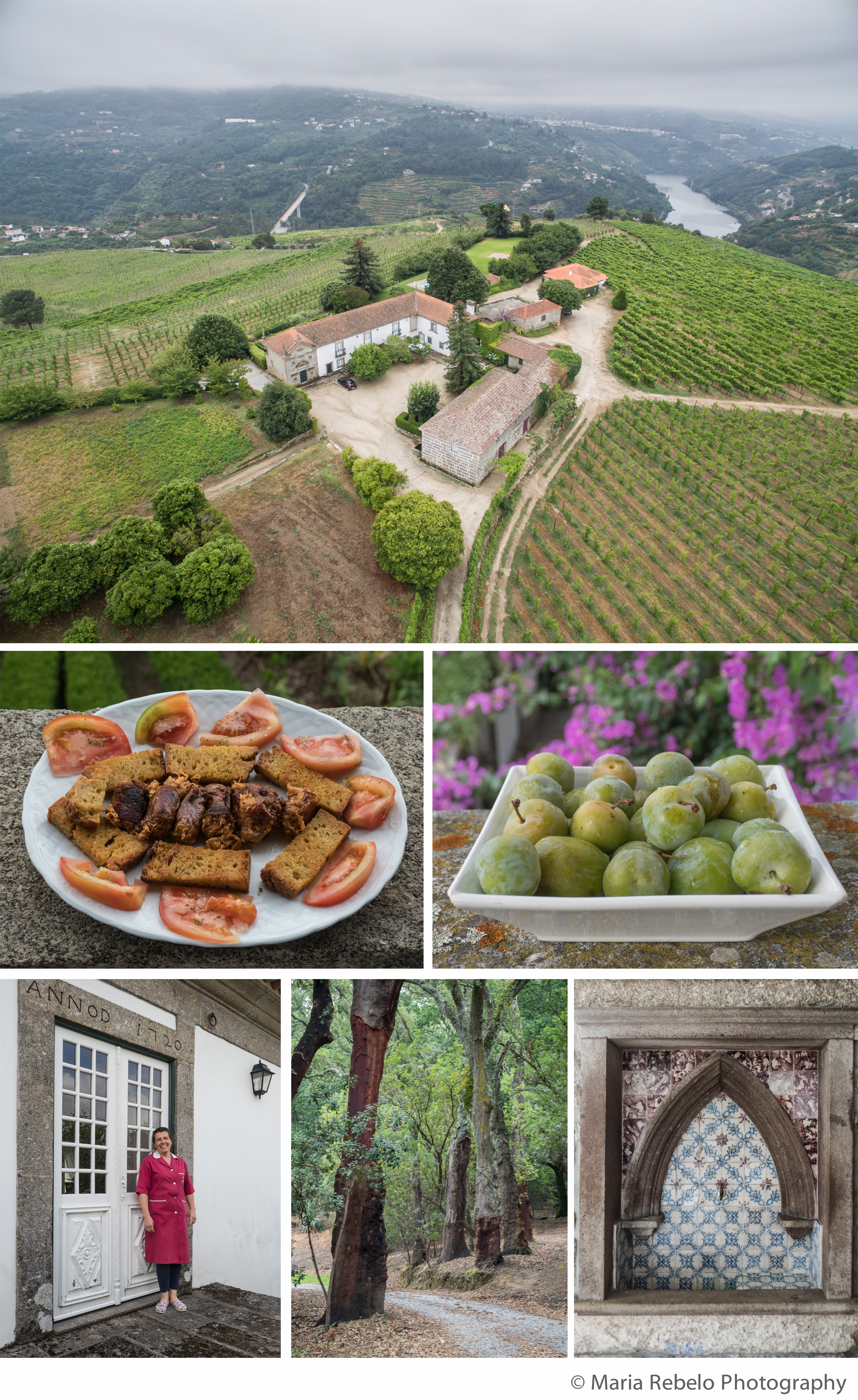 Quinta de Guimarães