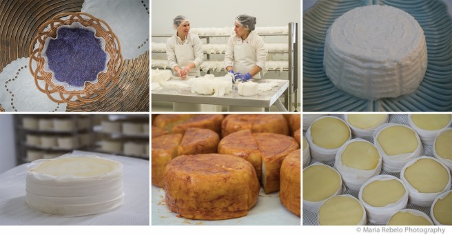 Composit Queijaria Vale da Serra