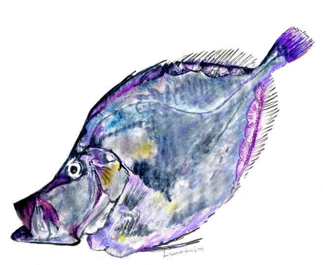 RBD_Desenho Peixe Galo