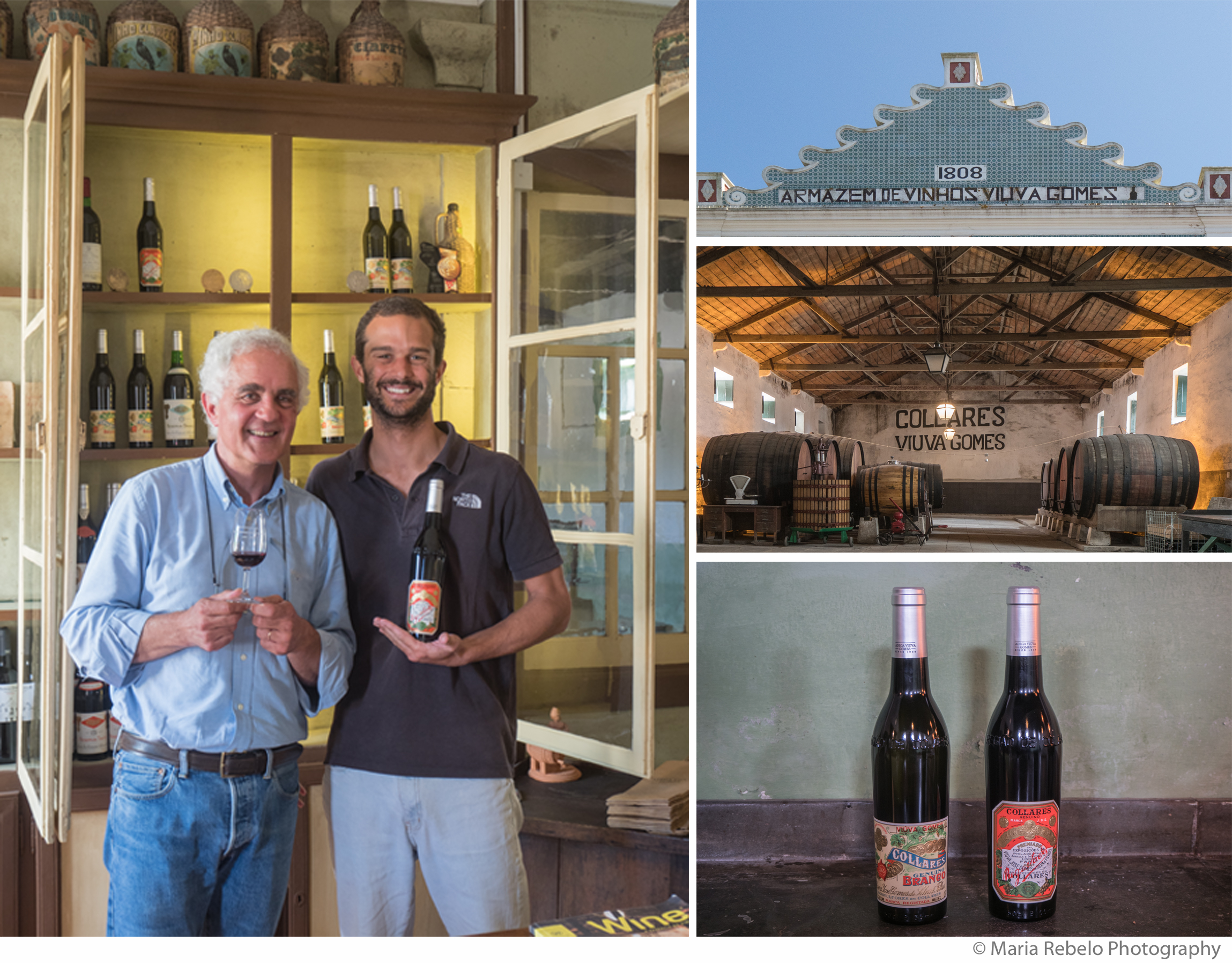 Viuva Gomes Composit