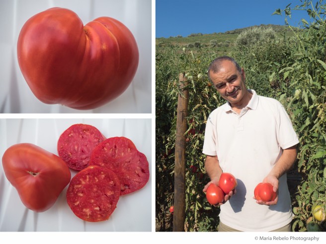 Abílio Tavares da Silva