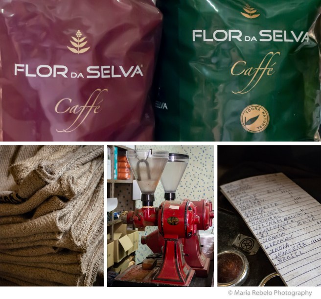 Flor da Selva Composit