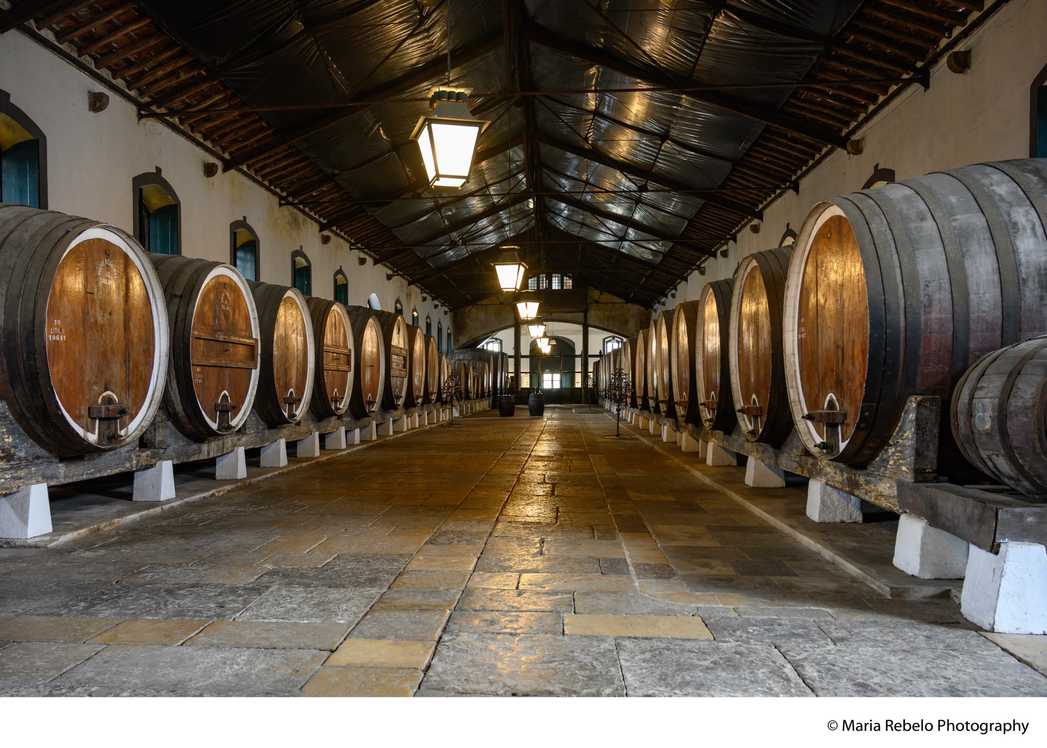 Sintra | Salt of Portugal