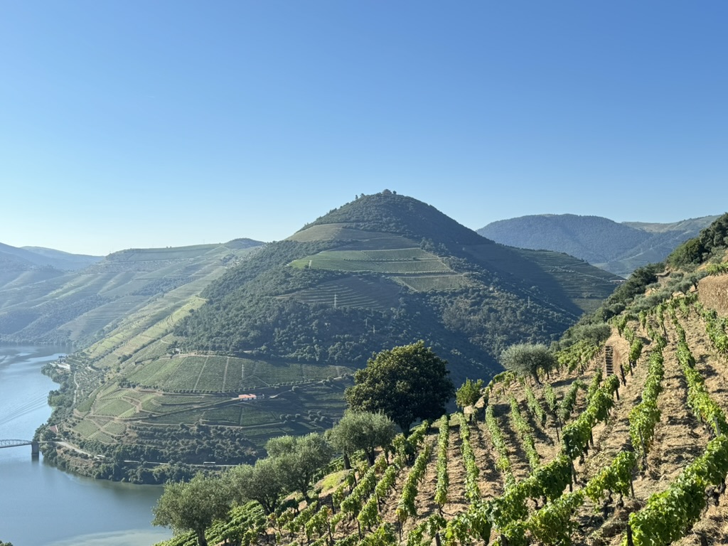 View from Quinta da Eira Velha